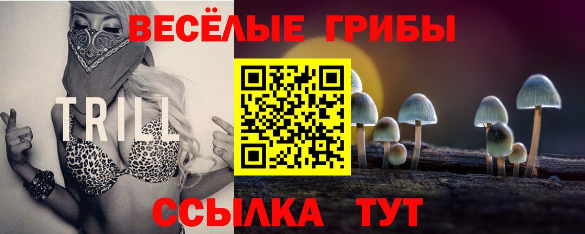 Полысаево  Псилоцибиновые грибы ЛСД  где купить наркоту  Вход с VPN 